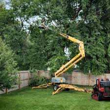 Best Hazardous Tree Removal  in Mar Mac, NC