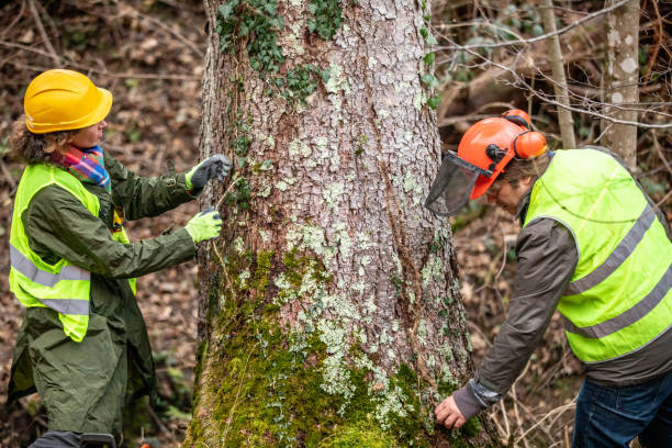 Best Emergency Tree Removal  in Mar Mac, NC